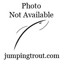 New Website Alert!